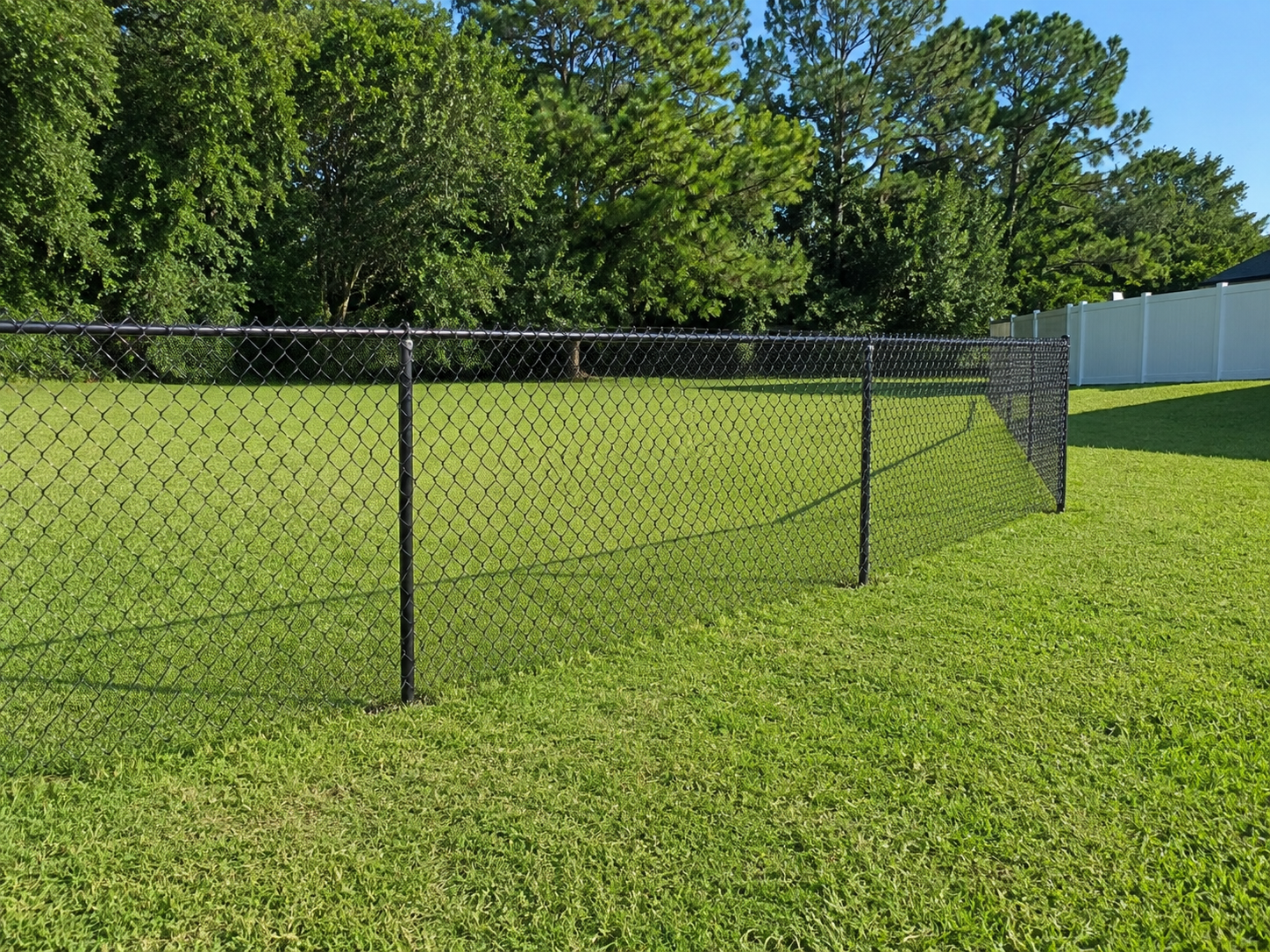 Pensacola chain link fence enclosing a grassy residential property